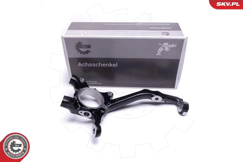 Steering Knuckle, wheel suspension
